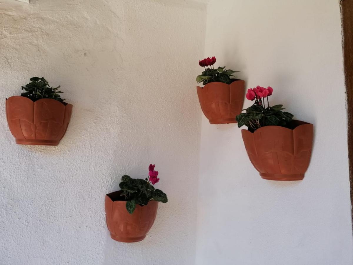 Casa Rosario Villa Mieres  Eksteriør bilde